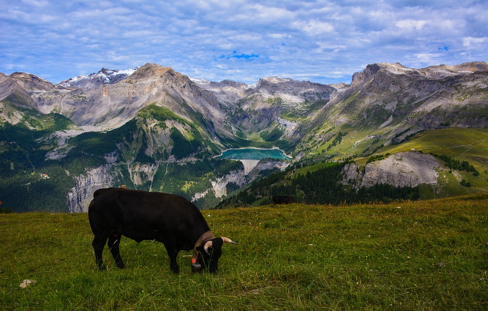 Read more about the article PhD Position in Public Administration and Post-Doctoral Position on Monitoring of Mountain Social-Ecological Systems